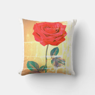 BuddhaToday V1 #11 Almohada de la Paz -🌹n Cita (V