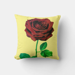 BuddhaToday V1 #38 Almohada de la Paz 🌹 + Frase I
