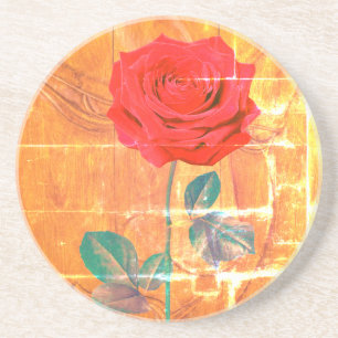 BuddhaToday V1 - #6 "Estácalo aquí" Posavasos