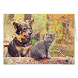 Buddies de otoño: Gray Kitten y Happy Puppy