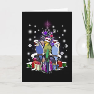 Budgerigars con el navidad regalo y copos de nieve
