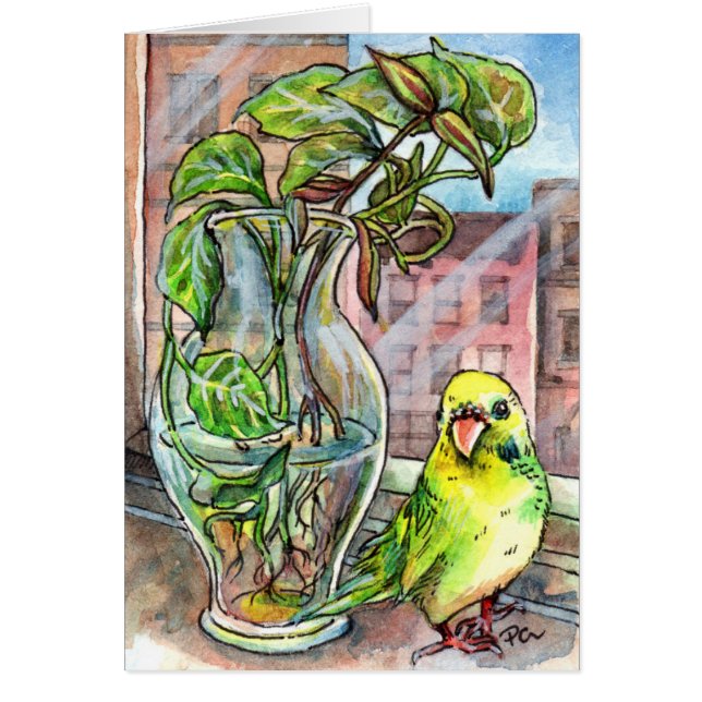 Budgie by the Window (Frente)