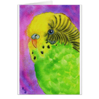 Budgie verde