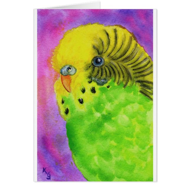 Budgie verde (Frente)