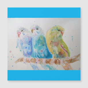 Budgies Aqua Verde azulado pájaro de pintura de co