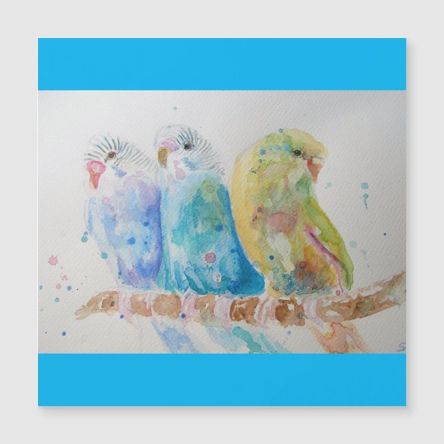 Budgies Aqua Verde azulado pájaro de pintura de co (Anverso)