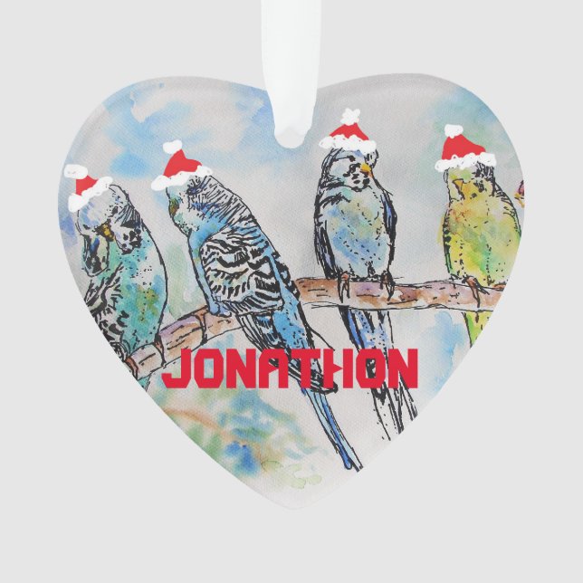Budgies Budgie Navidades Niños Nombre Decoración (Anverso)