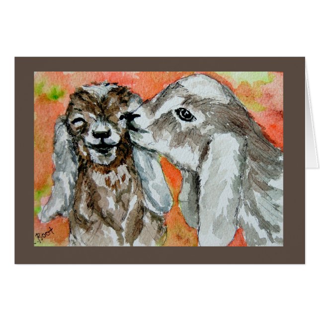 Budistas de cabras de Nubia (Anverso (Horizontal))