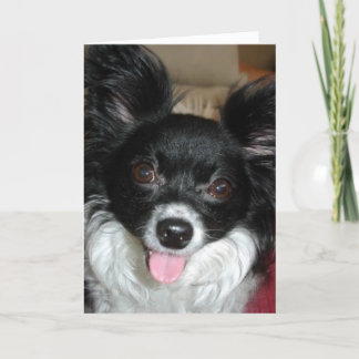 Buen perro - navidad