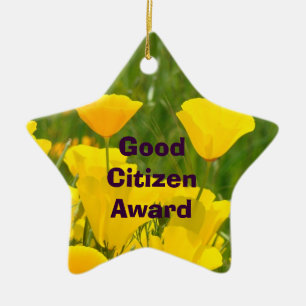 ¡Buen premio del ciudadano! el ornamento concede