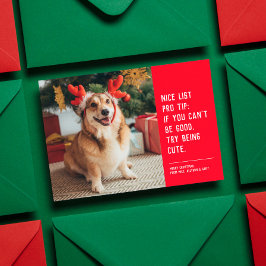Buena lista divertida de fotos de Navidad de masco