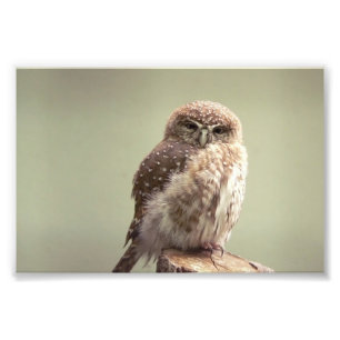 Buena mañana a usted foto