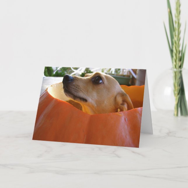 Buena tarjeta de la calabaza de Halloween de la (Anverso)