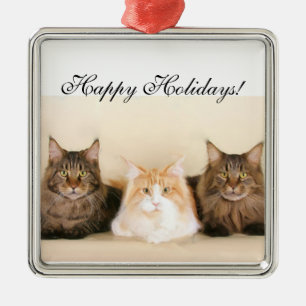 Buenas fiestas ornamento de los gatos de coon de