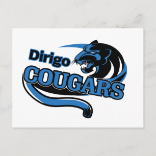 Buenas noticias desde la tarjeta escolar