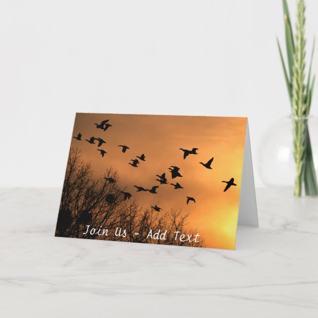 Buenas tarjetas de felicitación de los patos volad (Anverso)