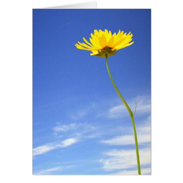 ¡Buenos días! 1 Flor Amarilla contra el cielo azul (Frente)