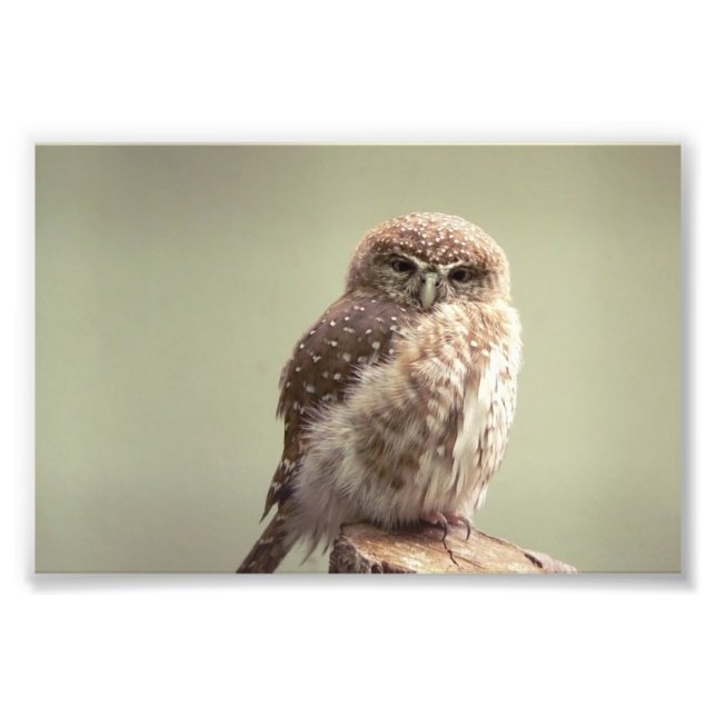 Buenos días a la foto (Frente)