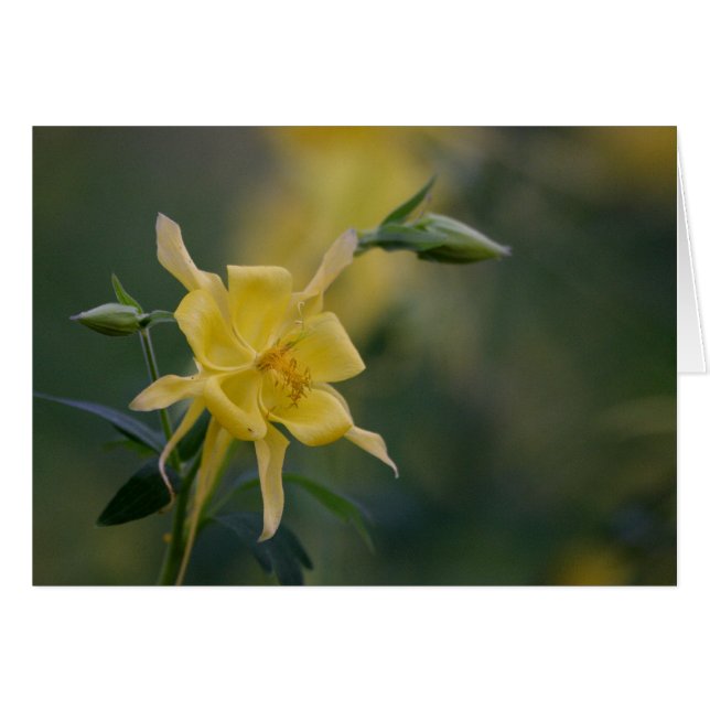 buenos días amarillo (Anverso (Horizontal))