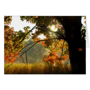 Buenos días de otoño