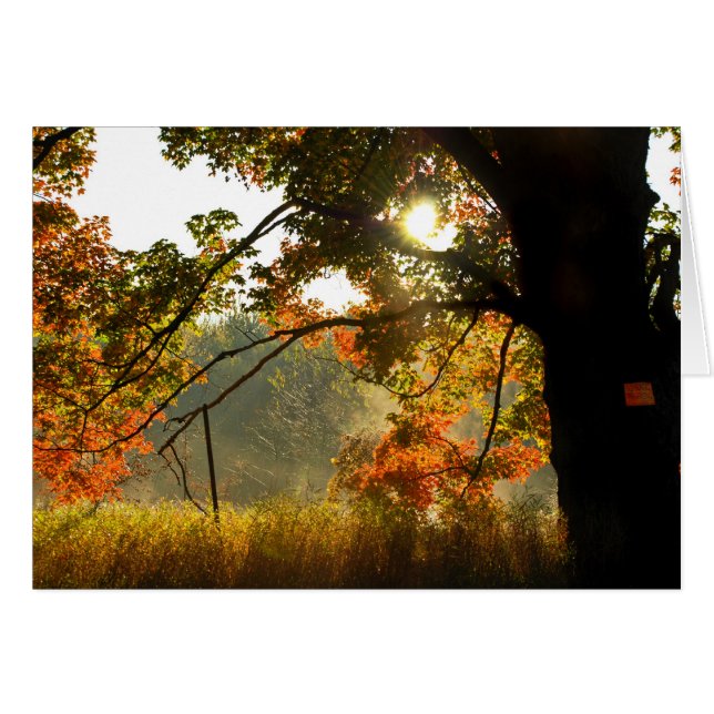 Buenos días de otoño (Anverso (Horizontal))