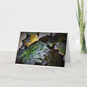 Buenos días Dew, tarjeta