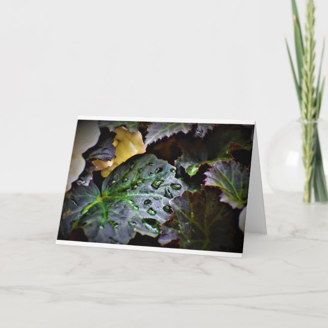 Buenos días Dew, tarjeta (Anverso)