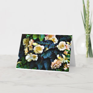 Buenos días Dew, tarjeta