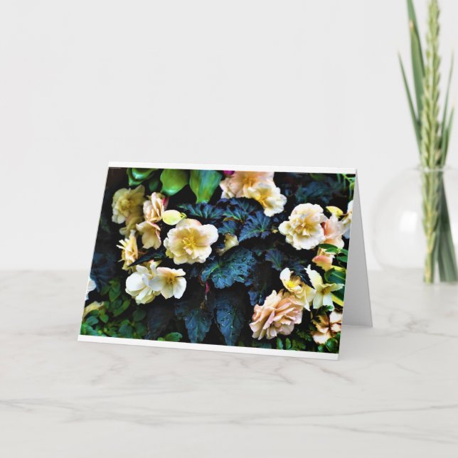 Buenos días Dew, tarjeta (Anverso)