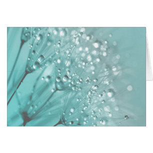 Buenos días Frescor