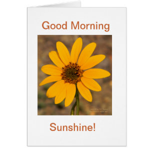 Buenos Días, Sunshine!