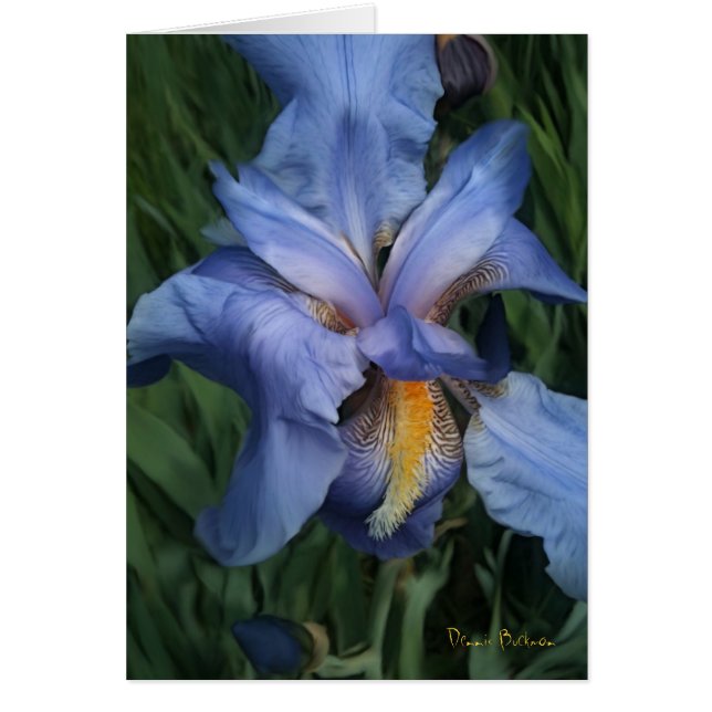 Buenos vecinos (Frente)