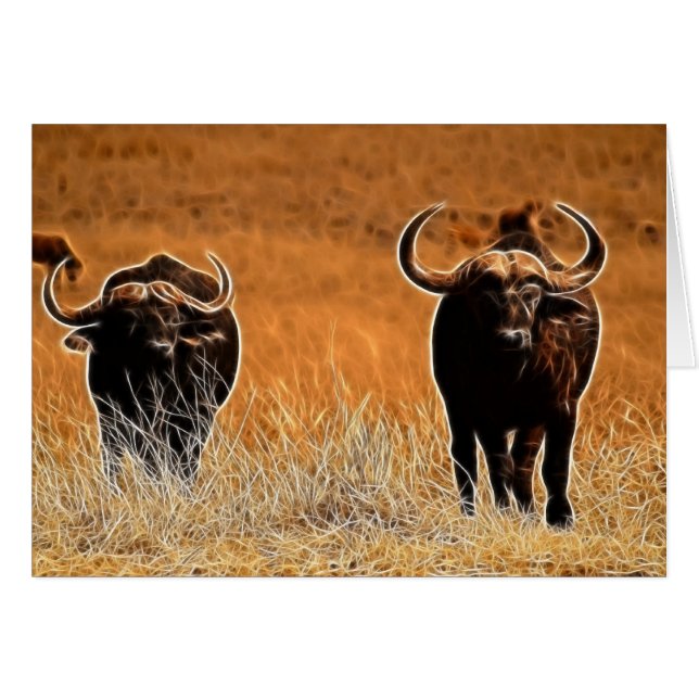 Búfalo africano (Anverso (Horizontal))