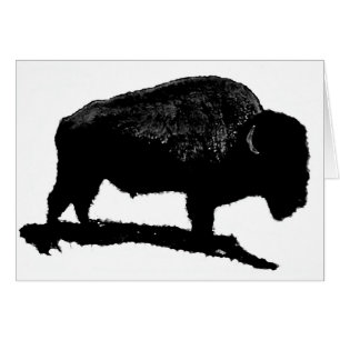 Búfalo blanco y negro