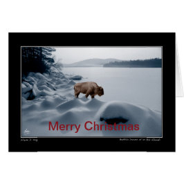 Búfalo espiritual antes del lago - Tarjeta de Navi