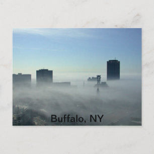 Búfalo hermoso, postal NY