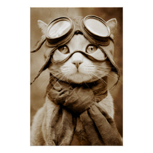 Bufanda de gato con gafas vintage Impresión retro