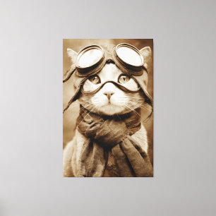 Bufanda de gato con gafas vintage impresión retro