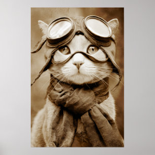 Bufanda Vintage Goggle Cat Impresión Retro