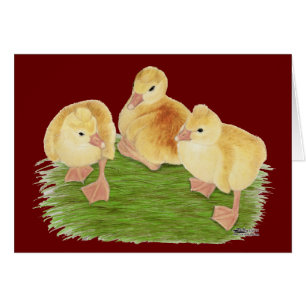 Buff Goslings Tufted