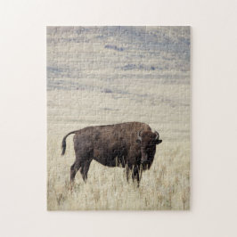 Buffalo Puzzle