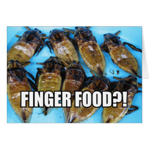 Bug de agua gigante frito (Maeng Daa) ... Comida a