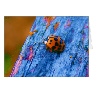 Bug de color loco
