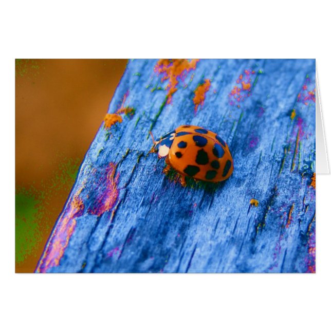 Bug de color loco (Anverso (Horizontal))