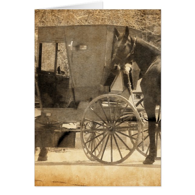 Buggy Antes Del Caballo, Amish Trae A Casa Un Caba (Frente)
