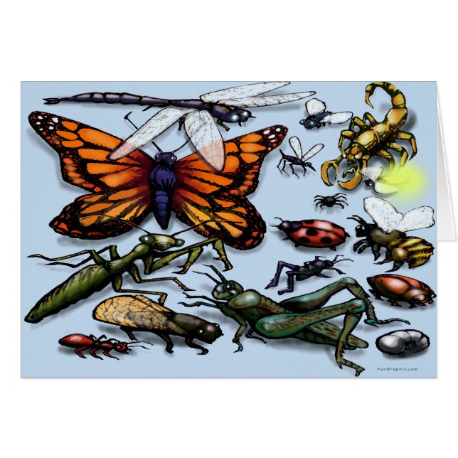 Bugs (Anverso (Horizontal))