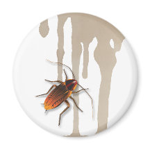 Bugzeez_Icky Sticky Roaches imán refrigerador