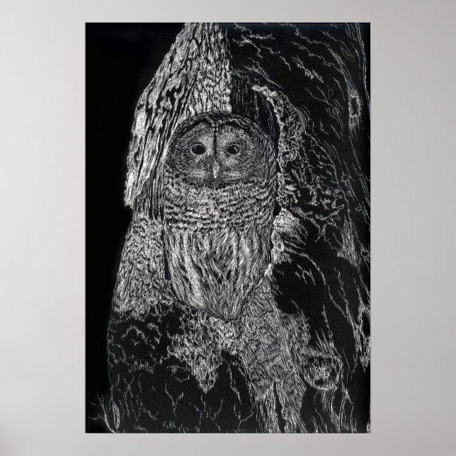 Búho Arbol de pájaros Dibujo Arte Blanco Negro (Frente)