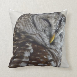 Búho arroja almohada