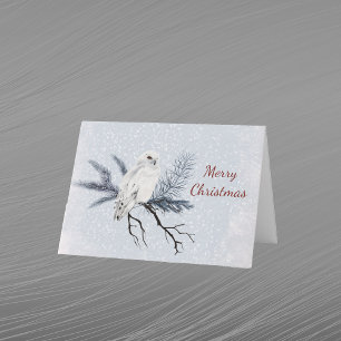 Búho blanco de Navidad Rama de pino Acuarela 